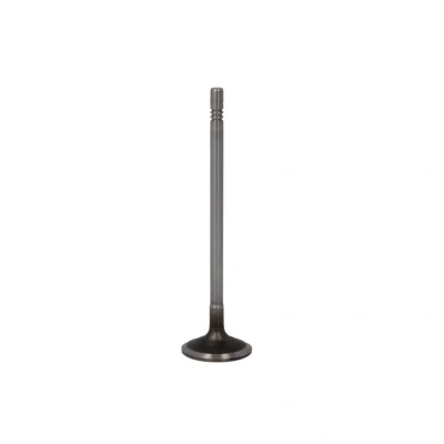 Abbildung von Einlassventil FRECCIA R8003/SCR