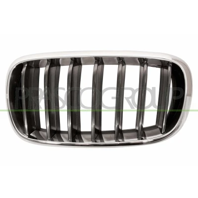 Abbildung von BLIC 6502 07 00969911P Kühlergrill vorne links chrom, schwarz BMW: X5