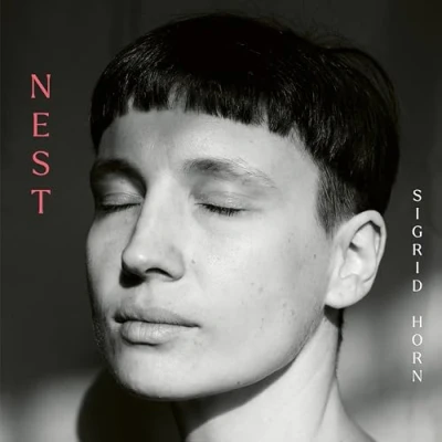 Abbildung von Nest [Vinyl LP]
