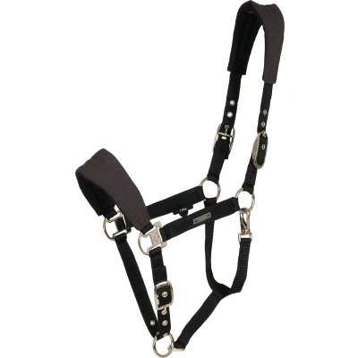 Abbildung von Catago SS25 Halter Grand Fir Tech