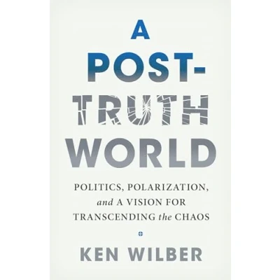 Abbildung von a Post Truth World: Politics, Polarization, and Vision for Transcending the Chaos