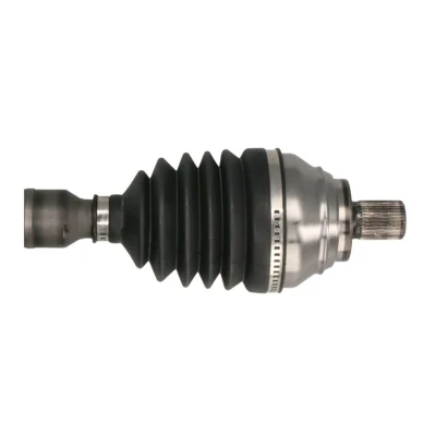 Abbildung von Antriebswelle PASCAL G2S021PC