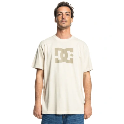 Abbildung von DC Shoes Pigment DYE HSS Tshirt print, Herren, Größe: Small, Sgbw pelican enzyme wash