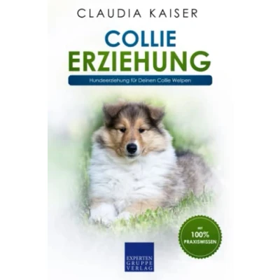 Abbildung von Collie Erziehung: Hundeerziehung für Deinen Welpen
