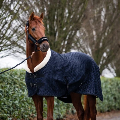 Abbildung von HB Showtime Velvet Spring Show Rug