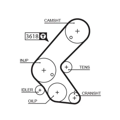 Abbildung von GATES FleetRunner Micro V Stretch Fit 5563XS Zahnriemen 131 1248 25 Glasfaser, HNBR (Hydrierter Acryl Nitril Butadien Kautschuk) OPEL: Zafira B