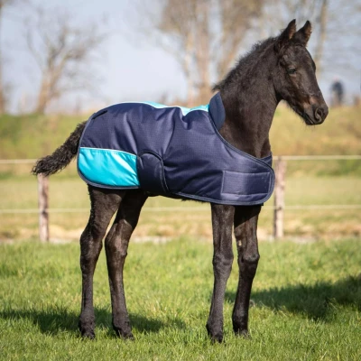 Abbildung von Harry&#039;s Horse Fohlendecke TwoTone Navy 65