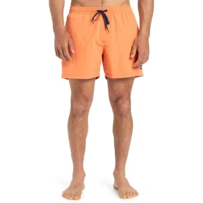 Abbildung von Quiksilver Everyday Solid 15 Badeshorts, Herren, Größe: Large, Nhz