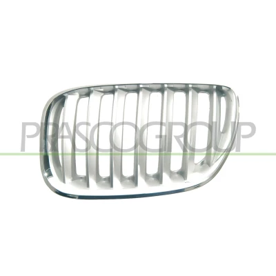 Abbildung von BLIC 6502 07 0095997P Kühlergrill vorne links titan BMW: X5