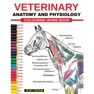 Abbildung von Veterinary Anatomy and Physiology Coloring Work Book: Easy Effective Self assessment, Test prep Revisions Study Guide for Vet Medicine Nursing Students