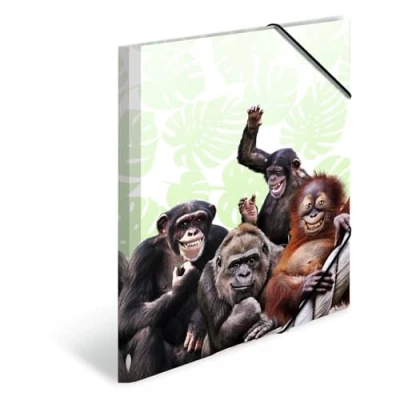 Abbildung von HERMA Sammelmappe A3 Affe, Kinder Eckspanner Mappe aus Kunststoff mit Tier Motiv, Gummizug, Innenklappen und Innendruck für Jungen Mädchen