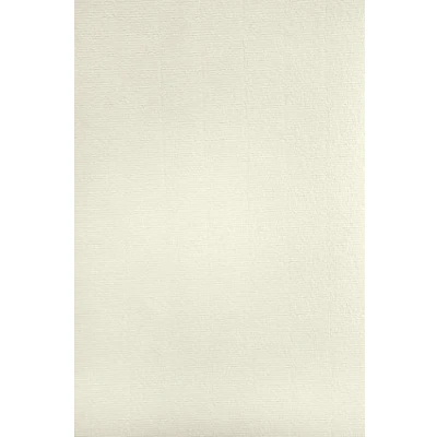 Abbildung von Netuno 20x Elfenbein Bastel Karton gerippt mit Wasserzeichen DIN A4 297x 210mm 220g Aster Laid Ivory Ausstattungs feiner Rippung Bastelkarton für Diplome Zertifikate Urkunden