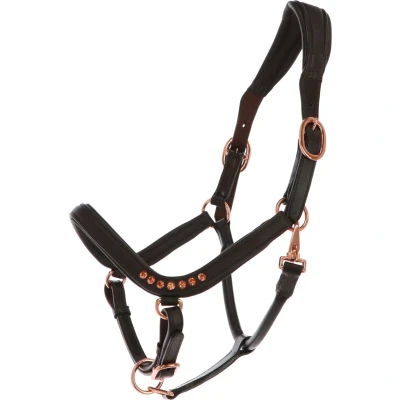 Abbildung von HB Showtime Halfter Anatomic Braun Vollblut Agradi.deVerkauft von Agradi