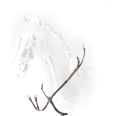 Abbildung von Equiline Brustgeschirr mit Gummizug Braun Warmblut