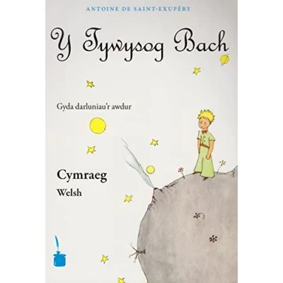 Abbildung von Y Tywysog Bach: Der kleine Prinz Walisisch: Le Petit Prince, Walisisch
