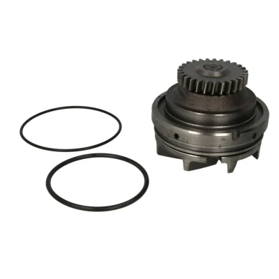 Abbildung von THERMOTEC WP RV115 Wasserpumpe mit Dichtung mechanisch