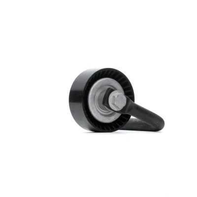 Abbildung von INA 531 0790 10 Spannrolle BMW: 5 Saloon, 3 7