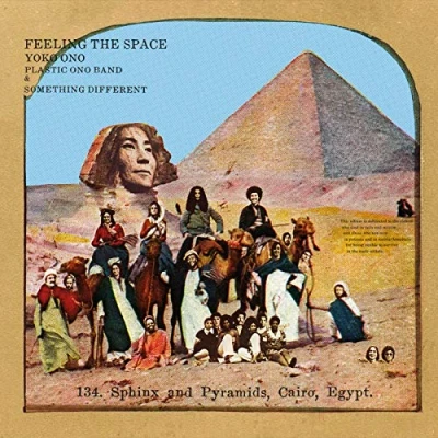 Abbildung von Feeling the Space [Vinyl LP]