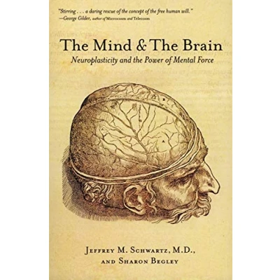 Abbildung von the Mind and Brain: Neuroplasticity Power of Mental Force