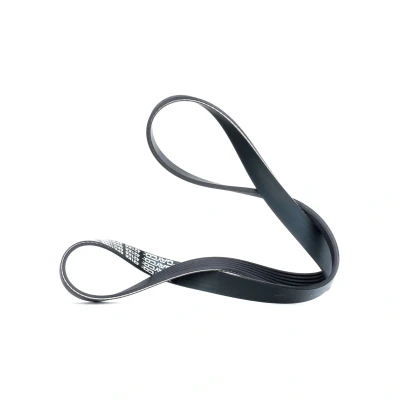 Abbildung von Keilrippenriemen DAYCO 6PK1069