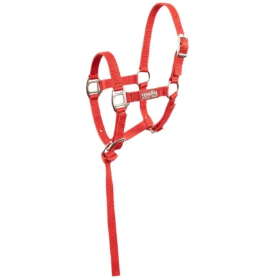 Abbildung von Premiere Fohlen Halser Set Brisk Mit Mini Line Pompeian Red XS