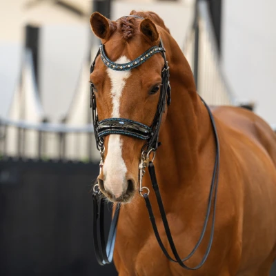 Abbildung von HB Showtime Double Bridle One in a Million