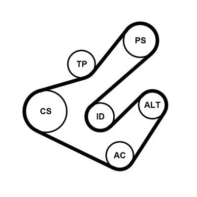 Abbildung von CONTITECH 7PK1795K2 Keilrippenriemensatz RENAULT: LAGUNA 3, 3 Grandtour