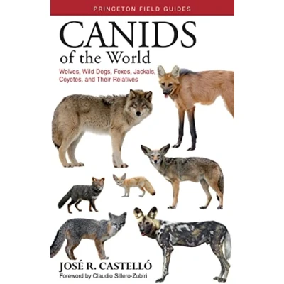 Abbildung von Canids of the World: Wolves, Wild Dogs, Foxes, Jackals, Coyotes, and Their Relatives (Princeton Field Guides)