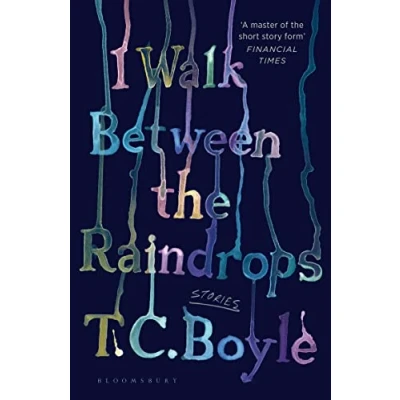 Abbildung von I Walk Between the Raindrops: Stories