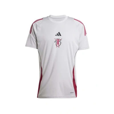 Abbildung von adidas Performance TIRO Sport Tshirt, Herren, Größe: Small, Grey two