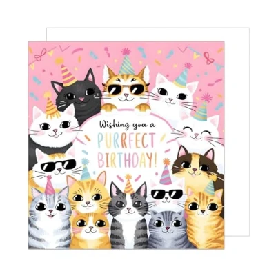 Abbildung von Edition Seidel Premium quadratische Geburtstagskarte mit Umschlag. Glückwunschkarte Happy Birthday Billet Karte für Mann Frau Kind coole Katzen lustig Humor (GQ331 SW024)