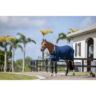 Abbildung von Amigo Stable Sheet
