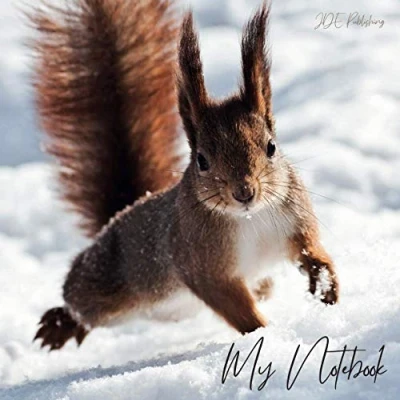 Abbildung von My Notebook Dickes Notizbuch Skizzenbuch Bullet Journal Eichhörnchen, Tiere, Natur: quadratisch, 21x21cm, kariert mit edlem satin matten cover ... Skizzen, Schreiben, Zeichen, Malen, Band 12)
