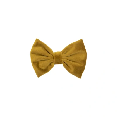 Abbildung von Kentucky Bow Tie Velvet Senffarben S