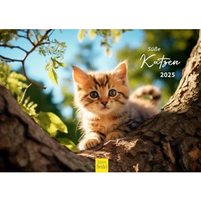 Abbildung von Edition Seidel Premium Kalender Süße Katzen 2025 Format DIN A3 Wandkalender Katzenkalender Haustiere Kätzchen Katze Kater Kitten Katzenkinder Katzenbabys