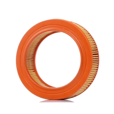 Abbildung von PURFLUX A194 Luftfilter 56 203 Filtereinsatz RENAULT: 4 Estate, NISSAN: MICRA 1