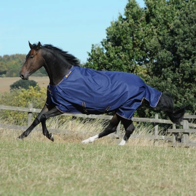 Abbildung von Bucas Irish Turnout 150g Navy/Gold 130/175 Agradi.deVerkauft von Agradi