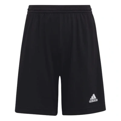 Abbildung von adidas Unisex Kinder Entrada 22 Shorts, Black, 13 14 Years