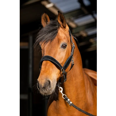 Abbildung von HB Ruitersport Halfter Wisconsin Schwarz Navy Pony
