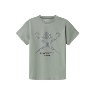 Abbildung von Hackett London Tiger LOGO TEE Tshirt print für Kinder, Größe: 134/140, Sage green