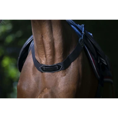 Abbildung von Eric Thomas Vorderzeug Pro Elastisch Schwarz Warmblut