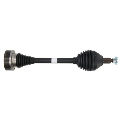 Abbildung von SPIDAN 36446 Antriebswelle 532 mit Mutter SEAT: IBIZA 5