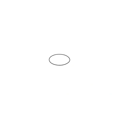 Abbildung von Gummiring BOSCH F 00N 202 726