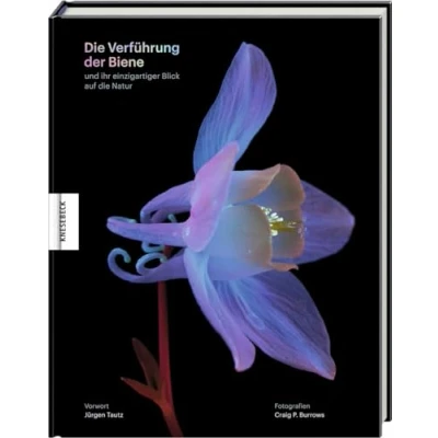 Abbildung von die Verführung der Biene: und ihr einzigartiger Blick auf Natur