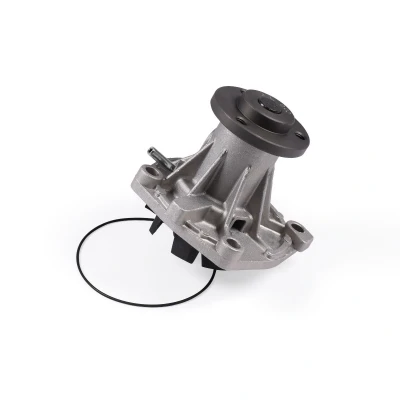 Abbildung von HEPU P1081 Wasserpumpe mit Dichtung mechanisch JEEP: Grand Cherokee 2, II, I, CHRYSLER: VOYAGER ROVER: 800 Coupe