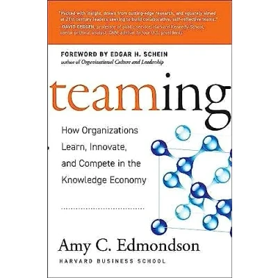 Abbildung von Teaming: How Organizations Learn, Innovate, and Compete in the Knowledge Economy