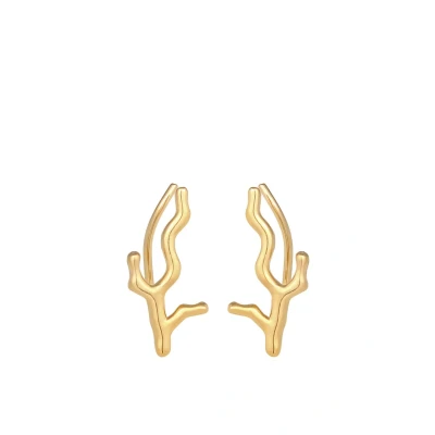 Abbildung von Elli Filigree Ocean Ohrringe, Damen, Größe: One Size, Gold coloured