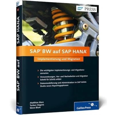Abbildung von SAP BW auf HANA: Implementierung und Migration Voraussetzungen, Vor Nacharbeiten (SAP PRESS)