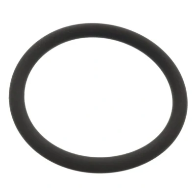 Abbildung von Gummi O Rings FEBI 48765