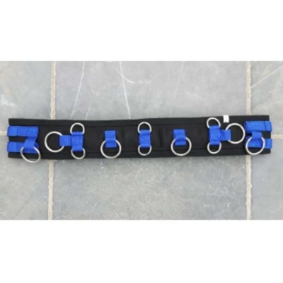 Abbildung von HB Longiergurt Little Sizes Royal Blue Minishetland
